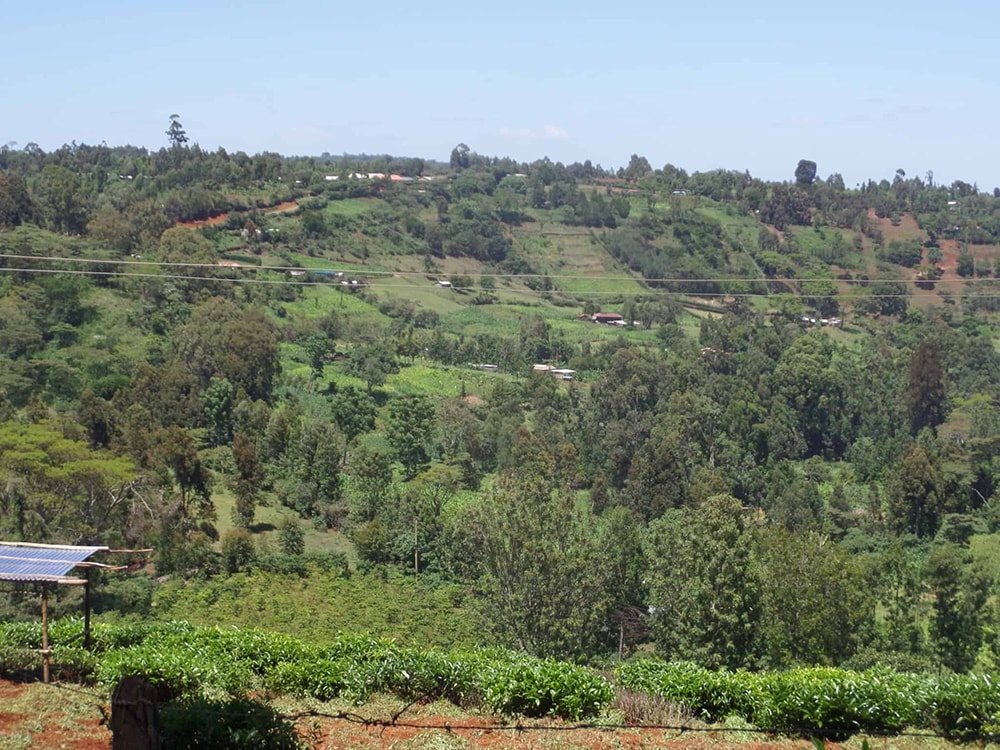 Scenery in Nyeri, Kenya